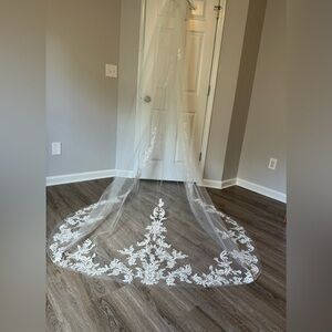 Jaw Dropping Wedding Veil!